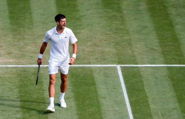 开云智能体验-德约闯温网16强再创纪录 躲过盘点赛后自比“战狼”